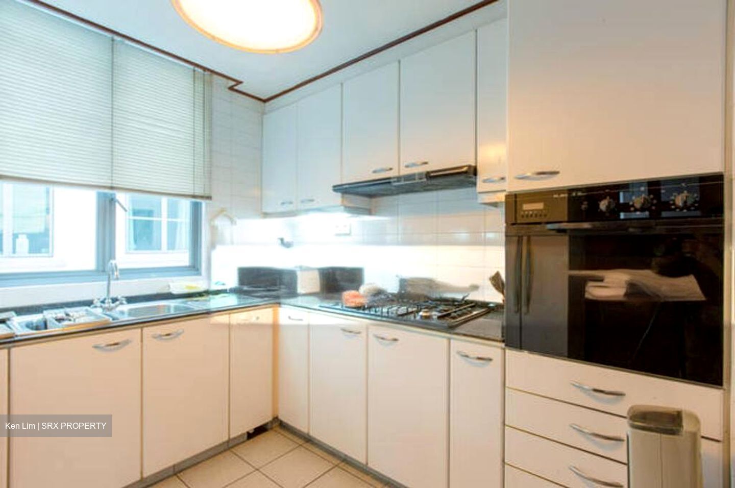 Springdale Condominium (D21), Condominium #502396431